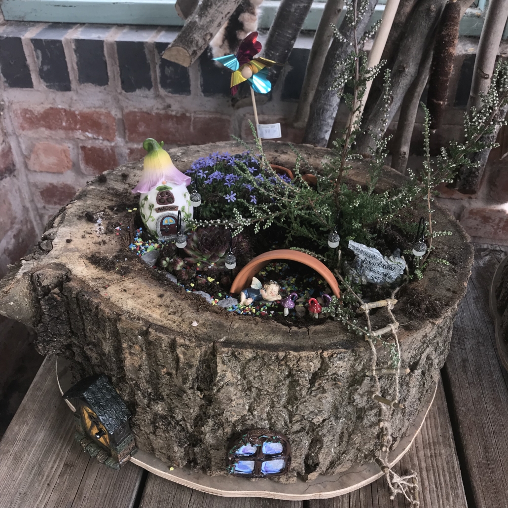 Fairy Garden | See Our Magical Fairy Trails | Whitlenge Gardens